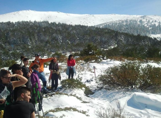 contemplando los parajes nevados